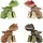 Jurassic World Fierce Changers Hidden Hatchers Sortiment