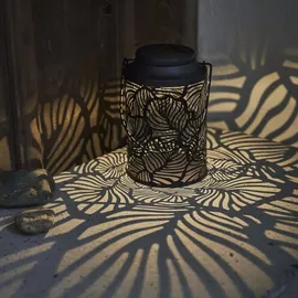 Star Trading 482-66 1 Glühbirne(n) LED 0,03 W