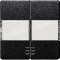 Siemens Schalterprogramm 2fach Carbon 5TG6233