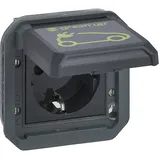 Legrand Schuko-Steckdose IP55 Anthrazit 1 St.