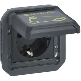 Legrand Schuko-Steckdose IP55 Anthrazit 1 St.