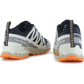 Salomon XA Pro 3D V9 GTX Herren Black/Vanilla Ice Turmeric 42