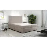 Kontinentales Bett 160x200 cm für Schlafzimmer Dream 160 Bonellfedern 2x Bettzeugkasten Beige Monolith 04 - Beige