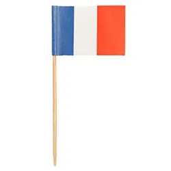 PAPSTAR 500 Deko-Picker 8 cm "Frankreich"