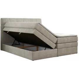 MKS Luka King 140 x 200 cm H3 Beige