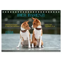 Calvendo Der Basenji (Tischkalender 2026 DIN A5 quer), CALVENDO