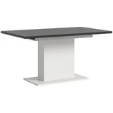 inn.furn Home-X 150 x 76 x 90 cm grau/weiß