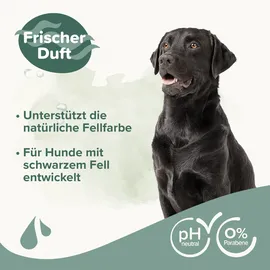 beaphar Hundeshampoo für Schwarzes Fell 250 ml