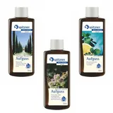 Spitzner - Saunaaufguss 3 Düfte Cypresse Rosmarin Melisse Citrus Mit Je 190 Ml