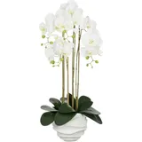 Mica decorations Mica Kunstpflanze Phalaenopsis weiß 82 cm
