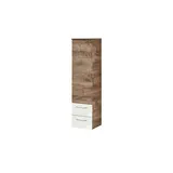 Sconto Midischrank Friesach ¦ holzfarben ¦ Maße (cm): B: 35 H: 136,1 T: 33.0