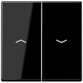 Jung Wippe Symbole sw A 595 P SW