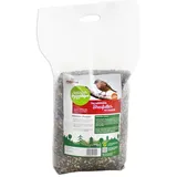 Pfiffikus Streufutter mit Insekten 10 kg
