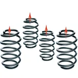 Eibach Fahrwerksatz, Federn