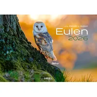 HEEL VERLAG Eulen Kalender 2026: Der Tierkalender mit den