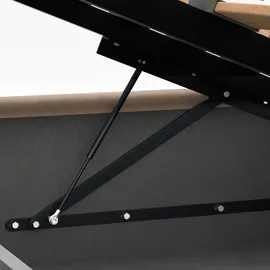 Muralo Polsterbett Stoffbett Bett mit Container Doppelbett Modernes Design Braun