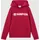 Champion Hoodie Red 176