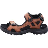 ECCO Offroad Herren braun 40
