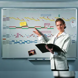 Legamaster PROFESSIONAL Jahresplaner, Monats-, Wochen-, Tageseinteilung 150,0 x 75,0 cm