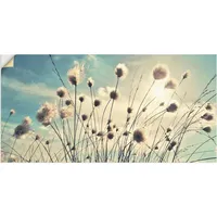 ARTland Artland, Bilder, Wollgras T2GI (100 x 50 cm)
