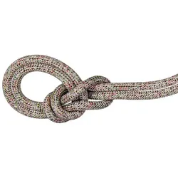 MAMMUT Bergseil 9.5 Crag We Care Classic, Classic Standard, assorted, 70