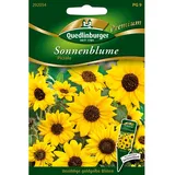 Quedlinburger Sonnenblumen Piccolo Loses Saatgut