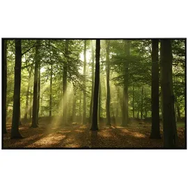 Papermoon Wald am Morgen 600 W bunt