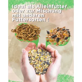 futterbauer Sonnenblumenkerne schwarz Meisen 10 kg