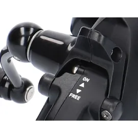 Daiwa 19 Black Widow BR LT 5000-C