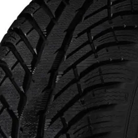 Cooper Discoverer Winter 225/55 R17 101V XL 591665