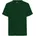 bottle green S