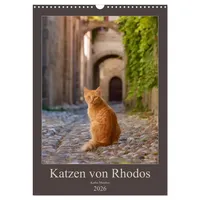 Calvendo Katzen von Rhodos (Wandkalender 2026 DIN A3 hoch)