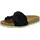 Verbenas Rocio Roda negro 41