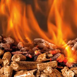Heizfuxx Holzpellets Red 15 kg x 65 Sack 975 kg Palette