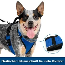 PetSafe EasySport Hundegeschirr, Blau