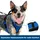 PetSafe EasySport Hundegeschirr, Blau