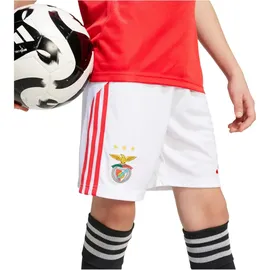 adidas Benfica Lissabon Heimshorts 2025/26 weiß Kinder Gr. 152