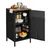 Songmics Metallschrank Stahl 40 x 42,5 x 76 cm schwarz/braun mit Doppeltür