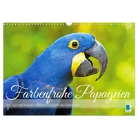 Calvendo Farbenfrohe Papageien (Wandkalender 2026 DIN A3 quer), CALVENDO