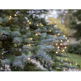 Star Trading Lichterkettennetz LED 2x1,5 m Schwarz warmweiß