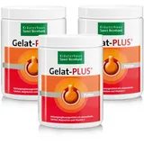 Kräuterhaus Sanct Bernhard Gelat-Plus Pulver 3 x 500 g