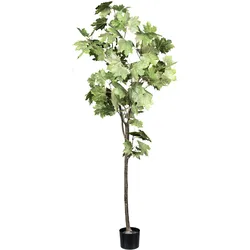 CREATIV green künstliche Pflanze Ahornbaum, ca 175cm