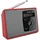 TechniSat Digitradio 2 rot/silber