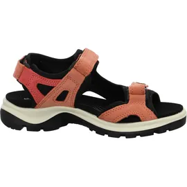 ECCO Offroad Damen burnt coal/spiced coral 41