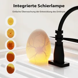 fudajo Vollautomatischer Flächenbrüter für 36 Eier 45 W