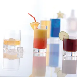 Schott Zwiesel Whiskyglas Paris 0,315 l 6 St.