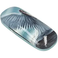 Figuren Shop GmbH Brillenetui Brillenetui Engel - Spirit Guide by Anne Stokes - Fantasy Hardcase