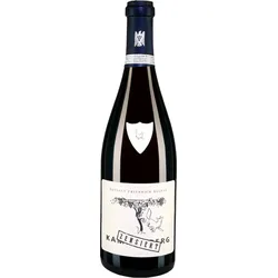 KB Pinot Noir Großes Gewächs trocken - 2018 - Friedrich Becker - Deutscher Rotwein