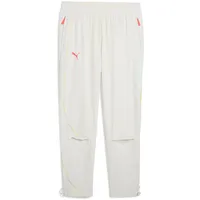 Puma All Pro Basketballhose Herren PUMA Vapor gray), grau