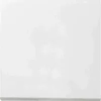 Gira Flächenschalter 0916112